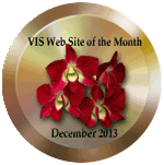 December 2013 VIS Website of the Month